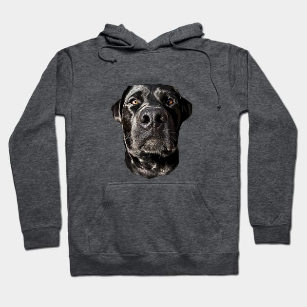 Labrador Retriever Black Dog Hoodie by ElegantCat